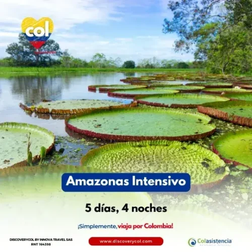 Amazonas Intensivo Cuadrada