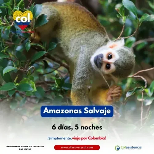 Amazonas Salvaje Cuadrada