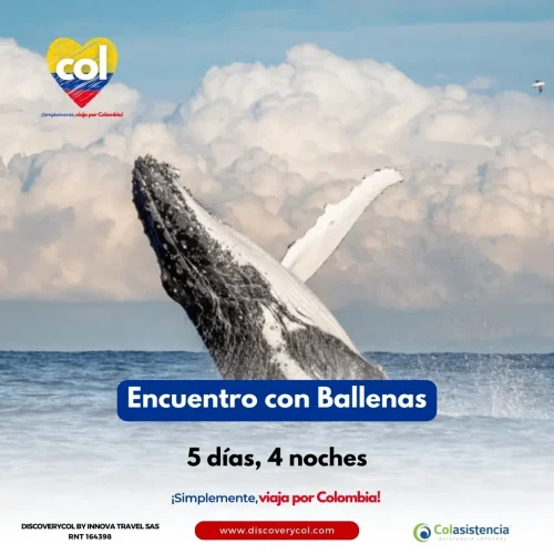 Encuentro con Ballenas - Cuadrada